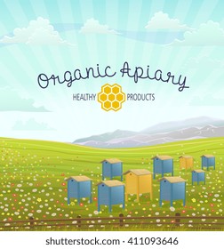 Apiary in alpine meadows in mountains. Honey Farm. Beehive set. Bee honeycomb. Rustic landscape. 