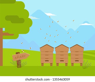 Apiary, apiculture flat color vector illustration. Wooden beehives with honeybee swarm flying around. Agriculture, beekeeping business. Honey, mead, beeswax making. Glade, meadow landscape