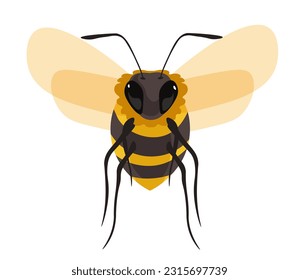 Apiary bee garden insect with wings and cute legs. Isolated bee or wasp with muzzle, production of honey and honeybee growing and breeding. Beekeeping industry or business. Vector in flat style