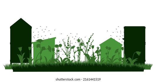 Apiary. Bee hives in meadow. Rural farm landscape. Isolated on white background. Vector.