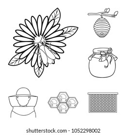 Apiary and beekeeping outline icons in set collection for design.Equipment and production of honey vector symbol stock web illustration.