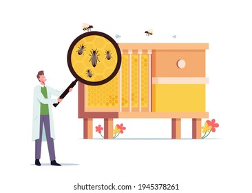 Apiary, Biology Science Concept. Tiny Scientist Male Character with Huge Magnifying Glass Learning Bees at Huge Beehive with Queen Surrounded with Workers on Honeycombs. Cartoon Vector Illustration