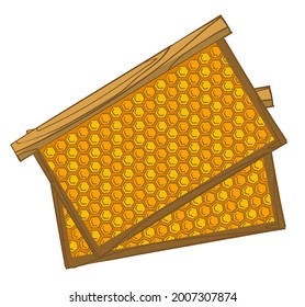 Apiary and farming production of sweet organic honey product. Isolated beehive frame for bees to store pollen. Wooden structure with hexagonal cells and combs. Vector in flat style illustration
