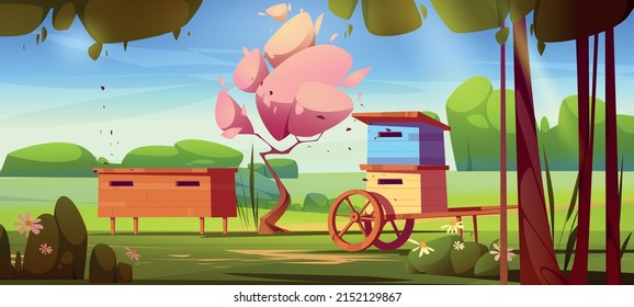 Apiary, honey bee farm with wooden hives on summer meadow. Vector cartoon illustration of spring landscape of village garden or forest with flowers, green trees, grass and beehives with swarm