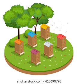 Apiary honey bee house apiary 3d flat vector isometric illustrations. Honey natural healthy food production.