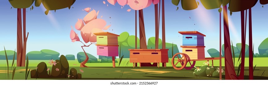 Apiary on forest meadow with honey production equipment. Wooden beehives stand on green field with trees and blooming flowers around at sunny summer day landscape. Cartoon vector 2d illustration