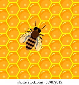 apiary products and beekeeping