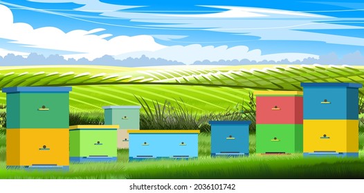 Apiary. Rural farm landscape with bee hive in a summer meadow. A meadow on the outskirts of agricultural fields hills. Beekeeper illustration with beehive. Vector