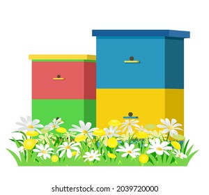 Apiary. Rural farm landscape with bee hive in a summer meadow. Blooming meadow with camomiles. Brand label. Isolated on white background. Beekeeper illustration with beehive. Vector