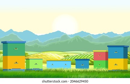 Apiary. Rural farm landscape with bee hive in a summer meadow. A meadow on the outskirts of agricultural vegetable gardens hills and mountains in distance. Beekeeper illustration with beehive. Vector
