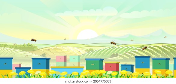 Apiary. Rural farm landscape with bee hive in a summer meadow. Blooming yellow dandelions. Pollination of vegetable gardens. Beekeeper illustration with beehive. Vector