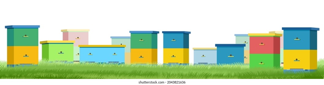 Apiary. Rural farm landscape with colorful bee hives. Lower bottom border. Fog. Isolated on white background. Beekeeper illustration with beehive. Vector
