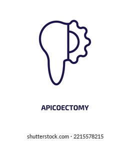 apicoectomy icon from dentist collection. Thin linear apicoectomy, intraoral, sealants outline icon isolated on white background. Line vector apicoectomy sign, symbol for web and mobile