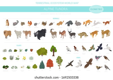 Apine tundra biome, natural region isometric infographic. Terrestrial ecosystem world map. Animals, birds and plants design set. Vector illustration