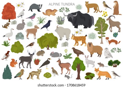 Apine tundra biome, natural region infographic. Terrestrial ecosystem world map. Animals, birds and plants design set. Vector illustration