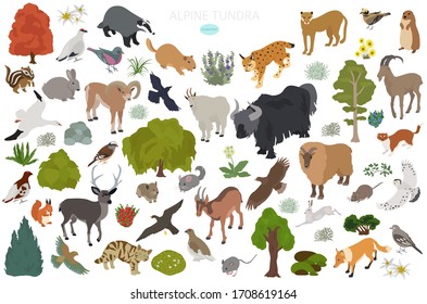 Apine Tundra Biome Natural Region Isometric Stock Vector (Royalty Free ...