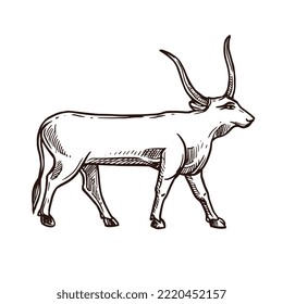 Esbozo de toros Apis, deidad de la Antigua Egipto y dios de los animales, icono de mitología vectorial. Anciano Egipto animal sagrado de la deidad Apis toro o buey, egiptología y deidad faraónica en boceto dibujado a mano