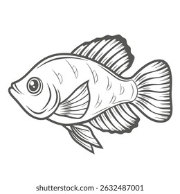 Apistogramma Cacatuoides Fish Line Art Illustration