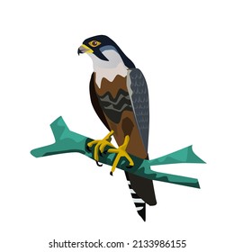 Aplomado Falcon perched on a branch.Isolated vector illustration on a white background.