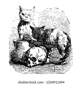 Apocalypse the chief demons are Satan who is represented with leopard body, bear feet and a lions tail, vintage engraved line art illustration. Infernal Dictionary 1863.
