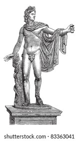 Apollo Belvedere or Apollo of the Belvedere or Pythian Apollo in Vatican City, vintage engraving. Old engraved illustration of the statue of Apollo Belvedere.  Trousset encyclopedia (1886 - 1891).