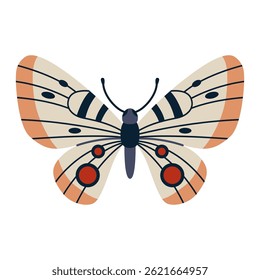 Apollo butterfly, Parnassius apollo with wing patterns. Vector illustration isolated on white background, hand drawn, flat design