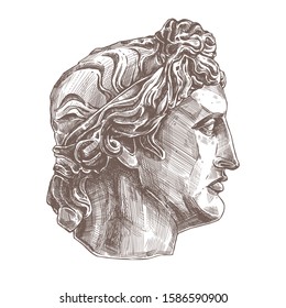 Apollo vector classical ancient gypsum sculpture. Antiquity head of greece god. Hand drawn sketch illustration in etching style, academic drawing