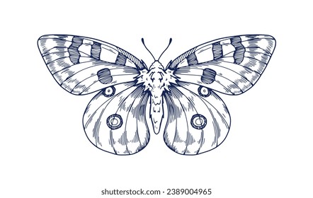 Apolo, dibujo de tinta vintage. Mariposa esculpida con grabado. Moth, boceto de insectos voladores en el viejo estilo retro dibujado a mano. Ilustración gráfica vectorial grabada a mano aislada en fondo blanco