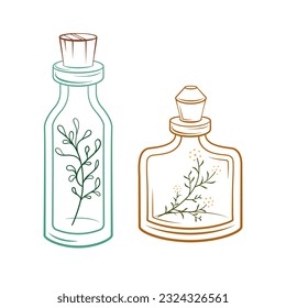 Botellas apotearias con flores y hierbas en el interior. Ilustración vectorial.