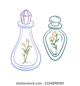 Botellas apotearias con flores y hierbas en el interior. Ilustración vectorial.