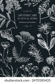 Apothecary label design template. Witchcraft background. Herbal remedies, medicinal plant, witch herbs, natural medicine hand-drawn vector illustration on chalkboard. NOT AI generated