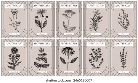 Apothecary labels set. Healing plants and medicinal herbs sketches. Art nouveua, adt deco, retro style. Vintage frame design templates. NOT AI generated