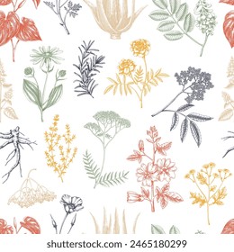 Apothecary plant background. Medicinal herbs seamless pattern. Herbal remedies, natural medicine, Healing plants sketches. Hand-drawn vector illustration.NOT AI genereted