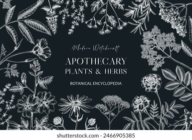 Apothecary plant banner design. Witchcraft background on chalkboard. Herbal remedies, medicinal plants, witch herbs hand-drawn vector illustration. Vinatge card template. NOT AI genereted