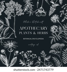 Apothecary plant frame design on chalkboard. Witchcraft background. Herbal remedies, medicinal herbs hand-drawn vector illustration. Vinatge card template. NOT AI generated