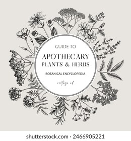 Apothecary plant frame design. Witchcraft background. Medicinal herbs hand-drawn vector illustration. Vinatge card template. NOT AI generated