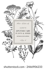 Apothecary plant frame design. Witchcraft book cover. Herbal remedies, medicinal plant, natural medicine hand-drawn vector illustration. Vinatge herbs background. NOT AI genereted