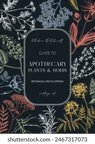 Apothecary plant frame design. Witchcraft background. Herbal remedies, medicinal plant, witch herbs, natural medicine hand-drawn vector illustration. Vinatge card template. NOT AI genereted