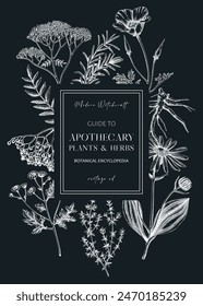 Apothecary plant frame design. Witchcraft book cover. Herbal remedies, medicinal plant, natural medicine hand-drawn vector illustration on chalkboard. Vinatge herbs background. NOT AI generated