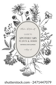 Apothecary plant wreath design. Witchcraft background. Medicinal herbs hand-drawn vector illustration. NOT AI generated