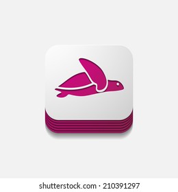 app concept, turtle, reptile
