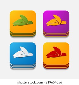app concept, turtle, reptile
