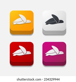 app concept, turtle, reptile