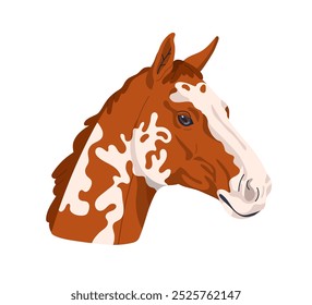 Appaloosa Pferd Portrait. Vollblütig, schöner Hengst mit fleckiger Haut, zweifarbiges Fellmuster. Majestätische Pferderasse, reinrassige edle Arten. Flache Vektorgrafik einzeln auf weißem Hintergrund