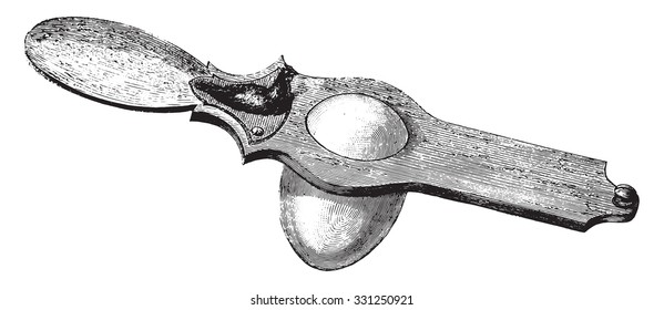 Apparatus for cutting the shell of boiled eggs, vintage engraved illustration. Magasin Pittoresque 1877.