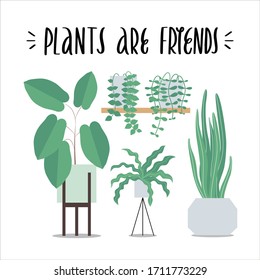 Apparel lettering and calligraphy print with quote - plants are friends. Vector flat hand drawn typography poster, home decoration design. Flat illustration set of houseplants in a pot on stand.
