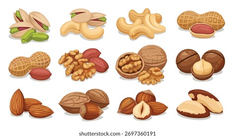 Uma variedade atraente e saudável de diversas nozes, apresentando pistache, caju, amendoim, nozes, amêndoas, avelãs e castanhas do Brasil em um fundo branco.