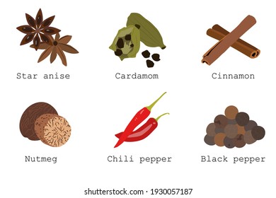 The appearance and names of six spices: anise, cardamom, cinnamon, nutmeg, chili and black pepper. Illustration of spices for the cuisines of the world. Pungent, tart and spicy. Flat illustration