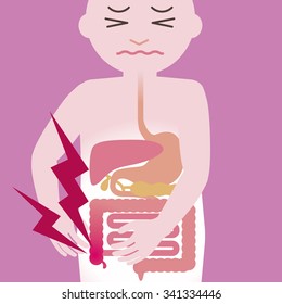 appendicitis and human digestive organs, simplified illustration