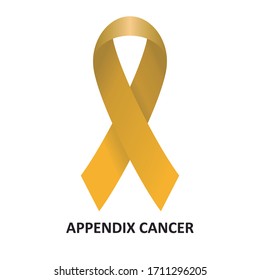 Appendix Cancer Amber Ribbon Vector